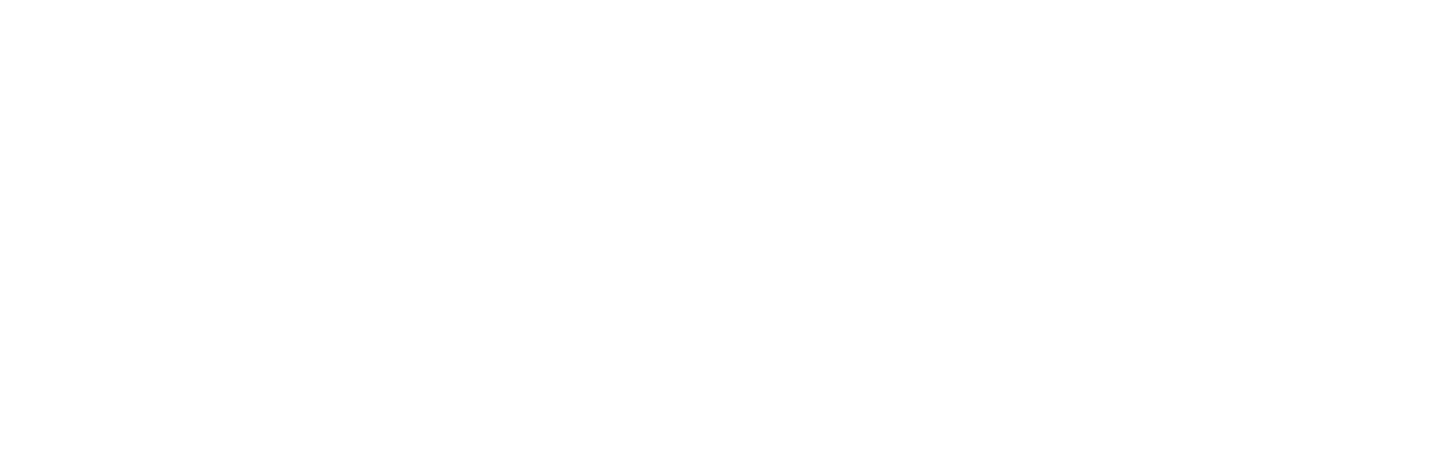 Разработка и реализация рекламной кампании для автомобильного бренда OMODA